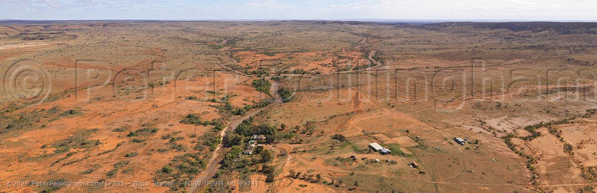 Peter Bellingham Photography Bilpa Station - NSW (PBH4 00 9374)